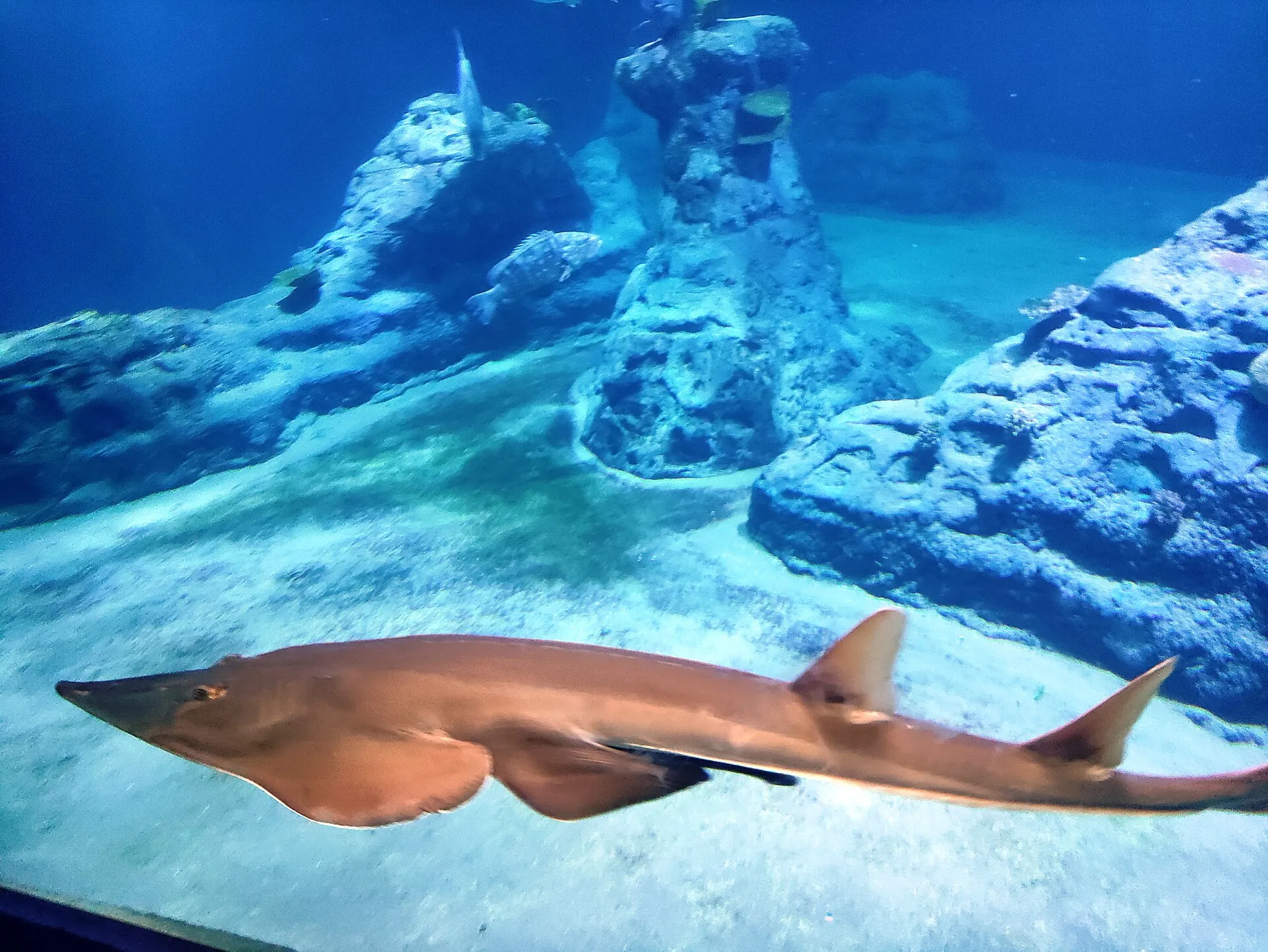 ZOO Wrocław